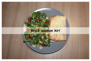 Brick saumon kiri3